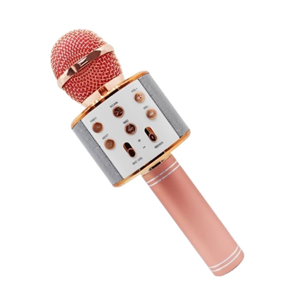 WS-858 Wireless Microphone Speaker