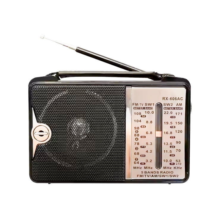 RX-606AC Portable All in One Fm Radio